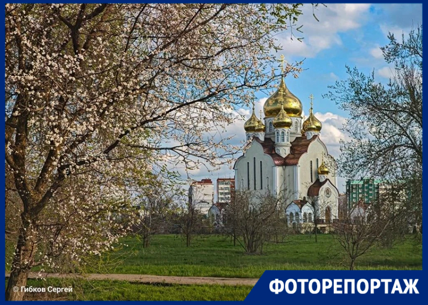 Прощай, апрель, ты был прекрасен: Волгодонск в объективе фотографа