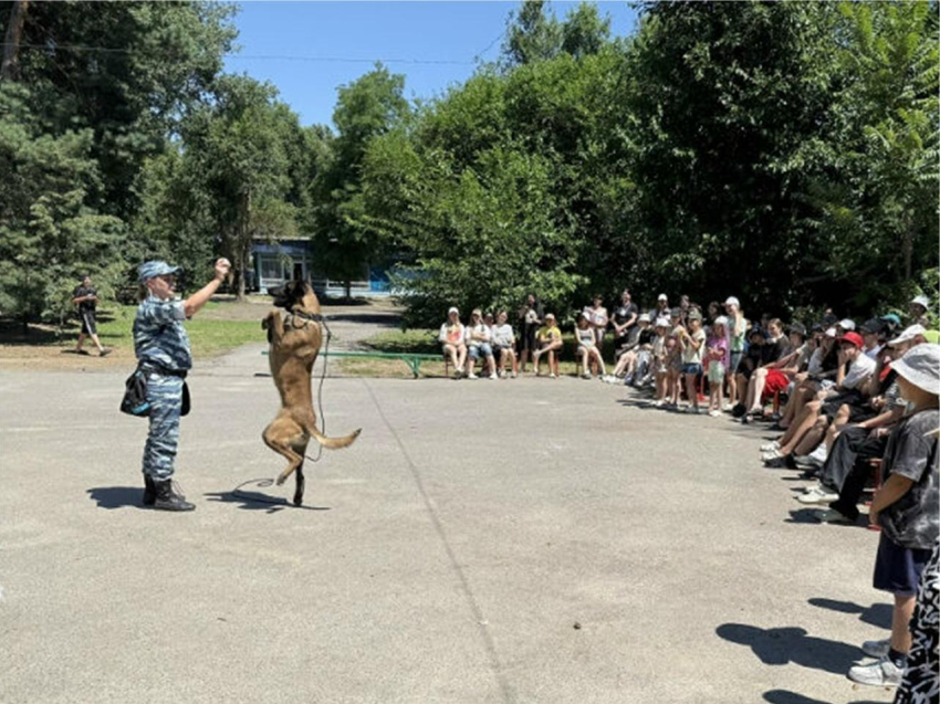 Полицейские Волгодонска показали детям служебных собак и криминалистику в лагере «Ивушка»