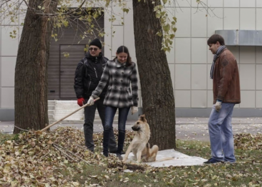 Наводить порядок в парке Победы помогали простые волгодонцы и даже собаки 