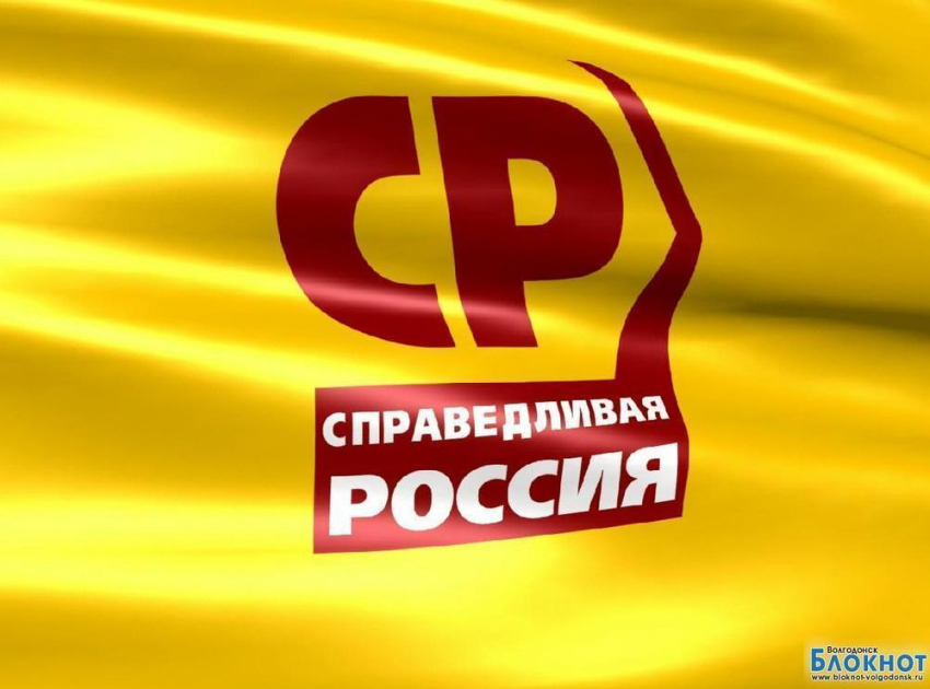 «Справедливая Россия» собирает подписи против отмены льгот на проезд