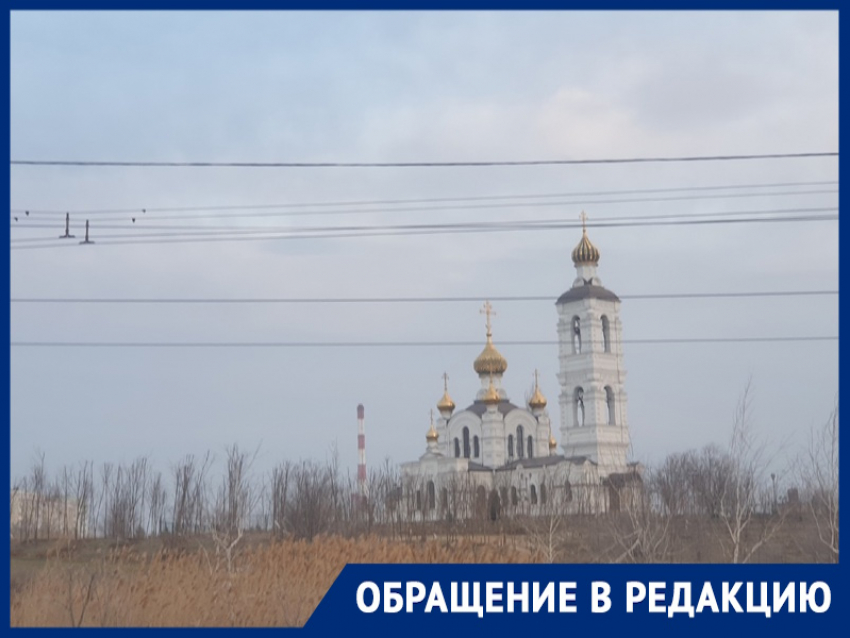 «Лучший открыточный вид в городе уничтожили бездумной посадкой деревьев»: волгодонец о странном озеленении около путепровода