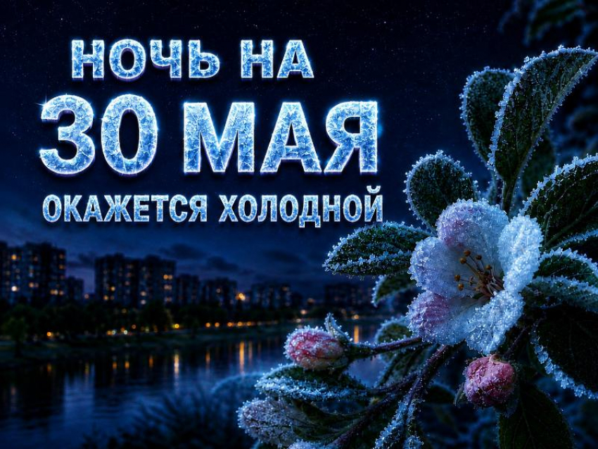 Температура может опуститься ниже нуля: внезапные заморозки ожидаются в Волгодонске под конец весны