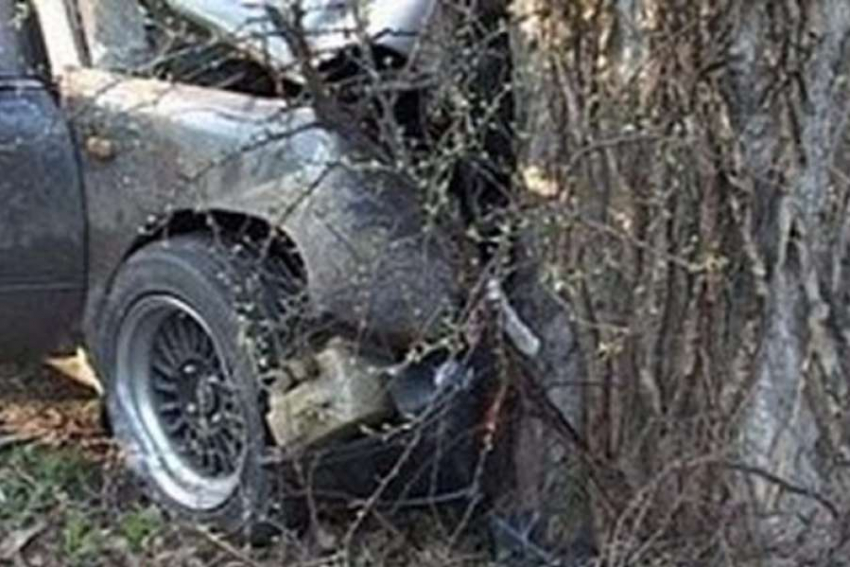 Пьяный водитель врезался в дерево в Цимлянском районе – он и пассажир в тяжелом состоянии