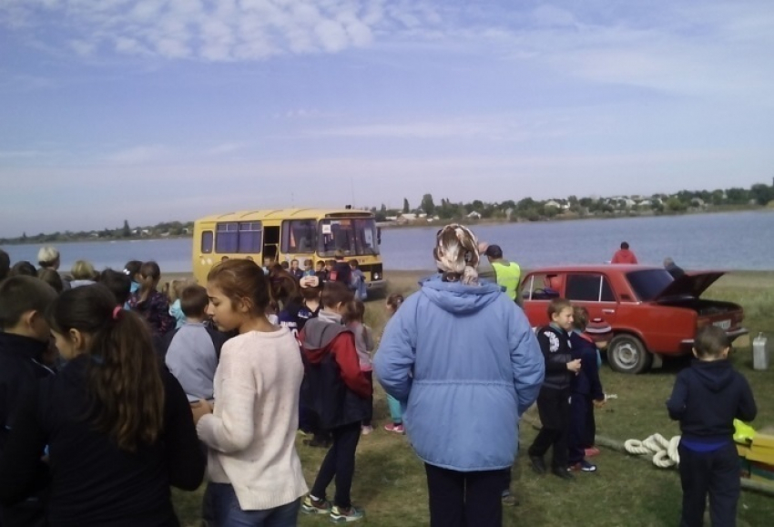На берегу Цимлянского водохранилища школьники и взрослые устроили догонялки