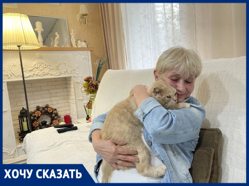 «Одному коту прокусил яйцо, второму - выгрыз глаз!»: соседский кот-убийца с гипоксией головного мозга уничтожает домашних питомцев