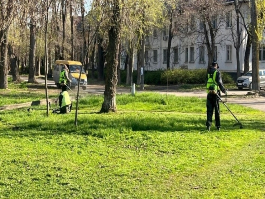 Начали косить: к маю коммунальщики очистят от высокой травы центральные улицы города