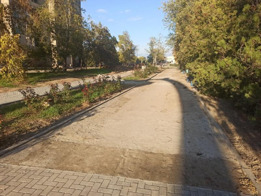Кто будет содержать в порядке зеленые зоны Волгодонска 