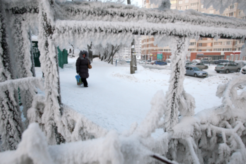 Снег и мороз обрушатся на Волгодонск в канун Крещения