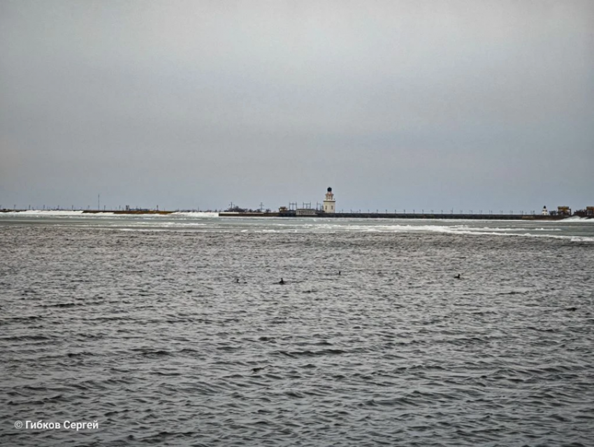 Уточки в море, берег в снегу, но весна все ближе: душевный видеорепортаж Сергея Гибкова с берега водохранилища