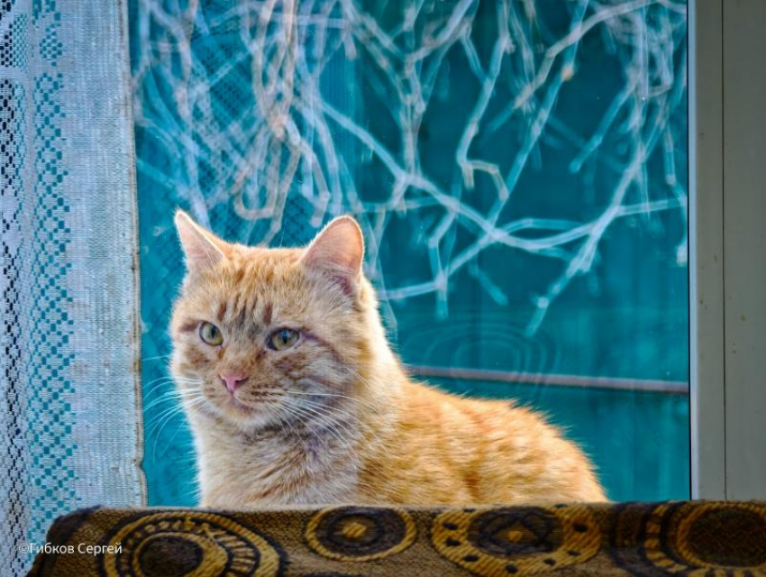 Сегодняшний день в Волгодонске будет неприятно холодным и серым