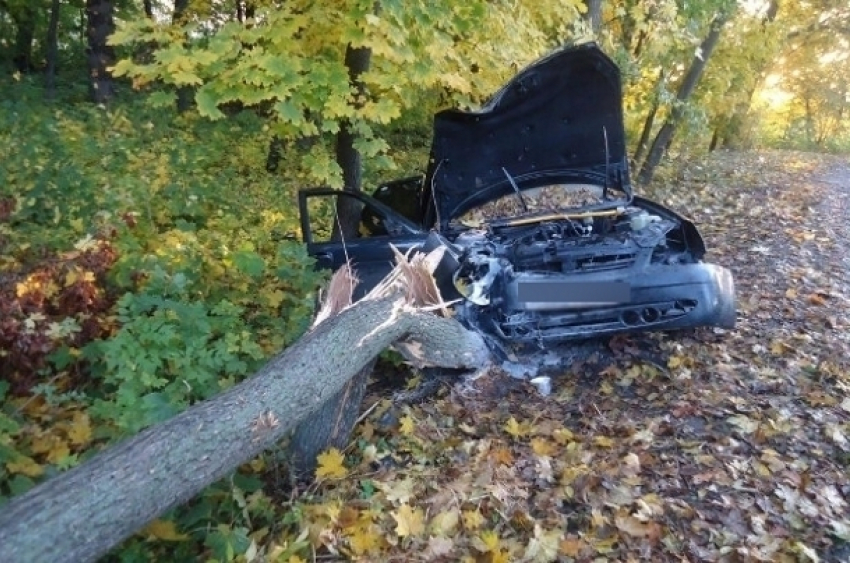 Водитель «Приоры» насмерть разбился на автодороге Ольгинская-Волгодонск