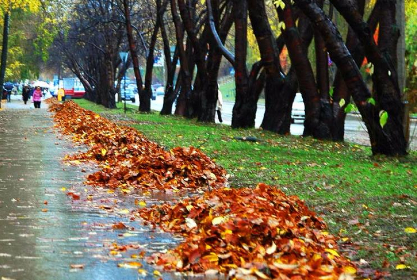 Октябрь принес Волгодонску холодную и пасмурную погоду 