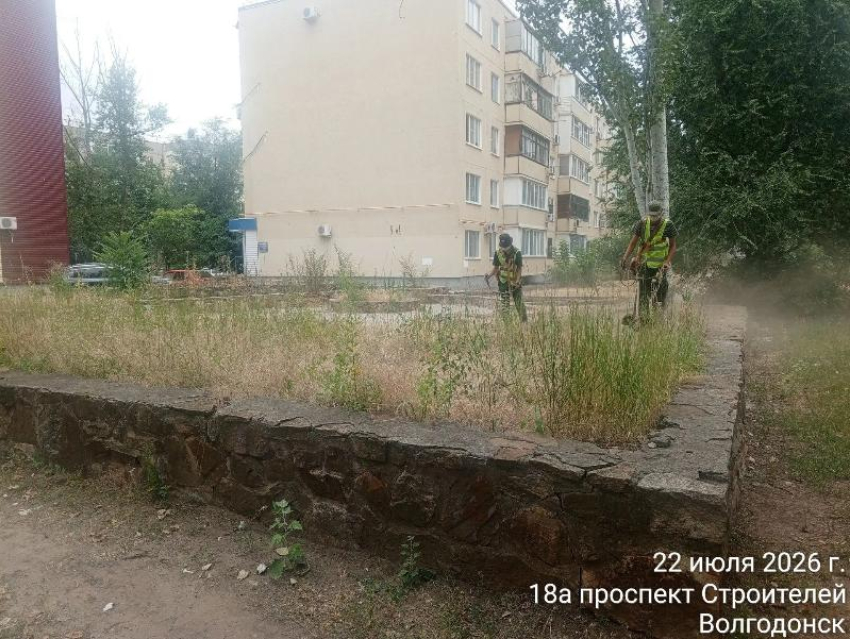 Траву покосили, мусор убрали: коммунальщики привели в порядок территорию за сквером «Казак»