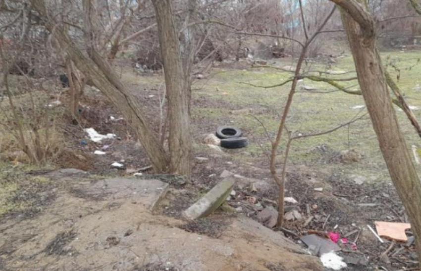 Крупного мусорщика разыскивают инспекторы в Волгодонске 