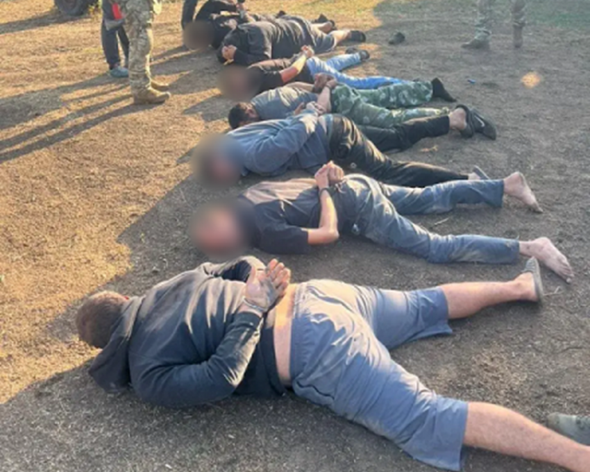 Делали набеги на окрестности Волгодонска, похищены десятки голов скота: начинается суд над этнической бандой ночных скотокрадов