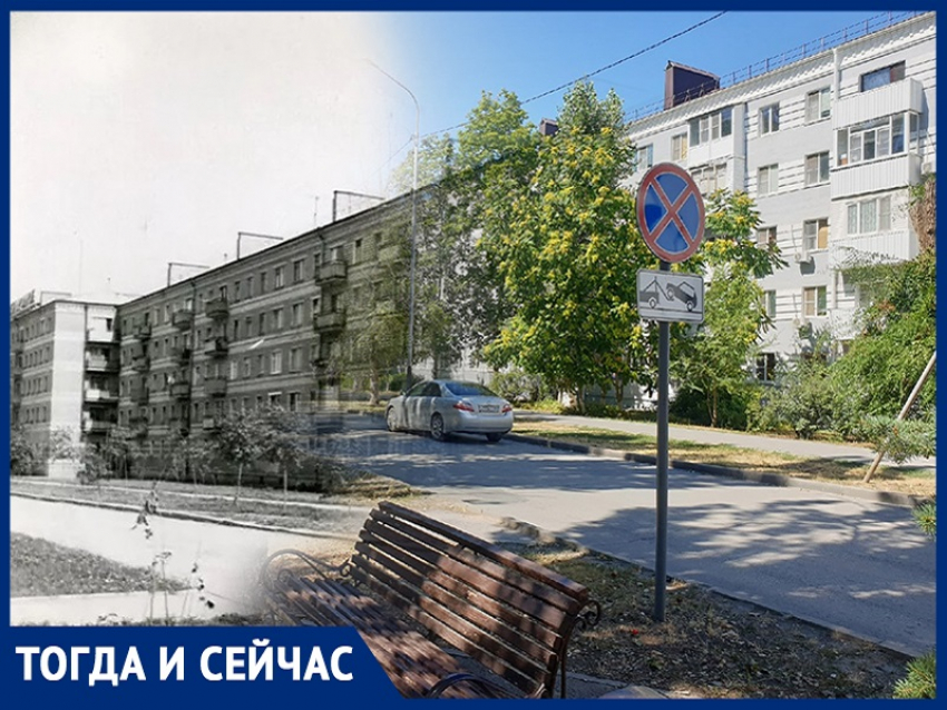Волгодонск тогда и сейчас: когда деревья на Ленина были ниже человека 