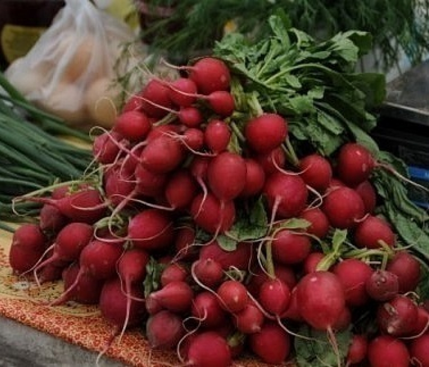 Волгодонск ждет открытия первой сельскохозяйственной ярмарки