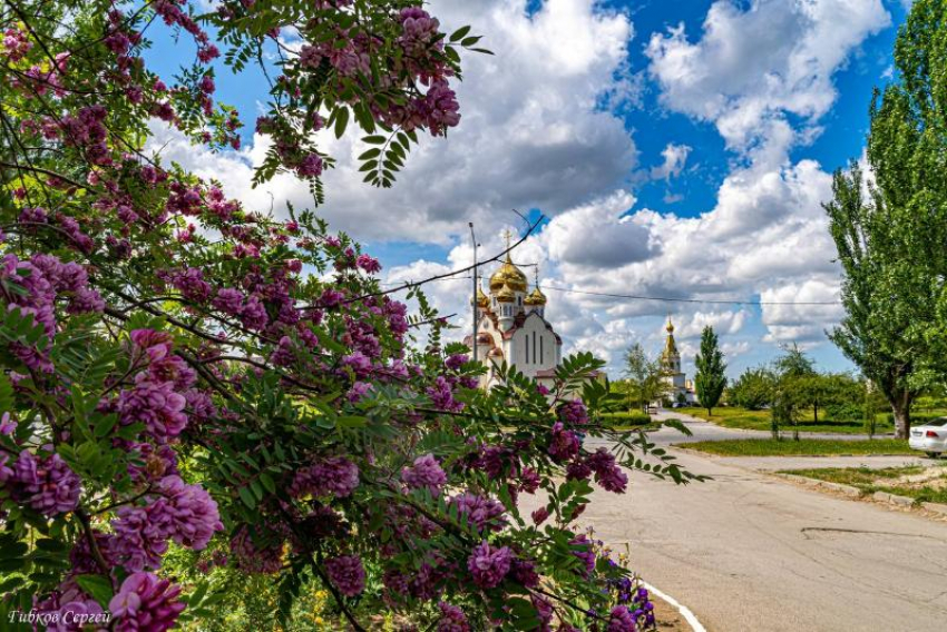 С малооблачной, но жаркой погоды начнется вторая неделя лета в Волгодонске