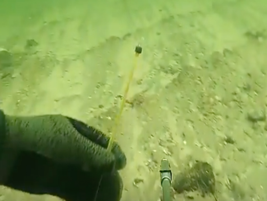 Десяток опасных ртутных градусников во время подводной охоты нашел волгодонец на дне реки Дон 