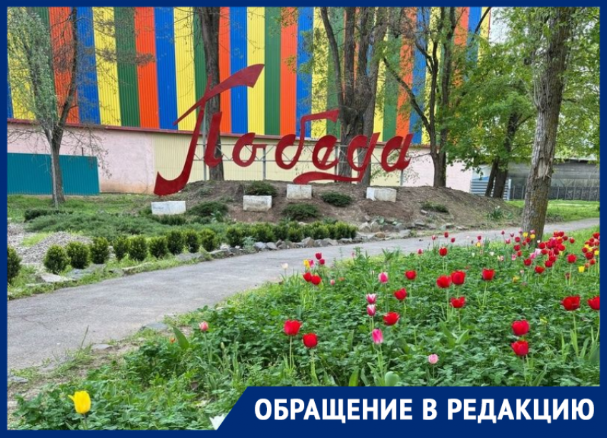 «Выкапывают цветы, кусты роз и даже деревья»: крик души сотрудников Парка Победы 