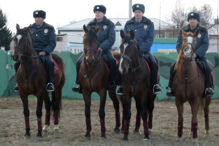 В Волгодонске ликвидируют конную полицию