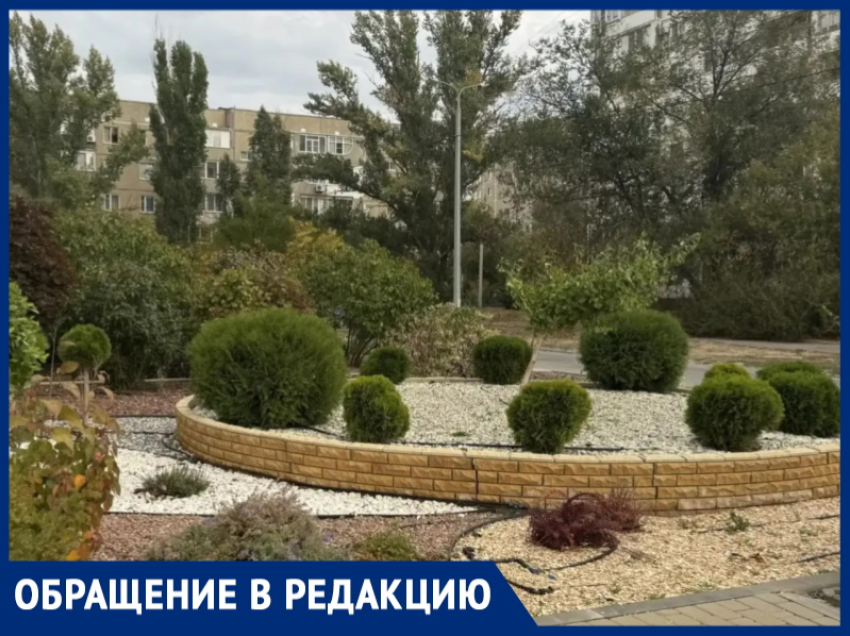 «Все бы клумбы украшали, мы бы город не узнали»: волгодончанка нашла способ победить уличную унылость