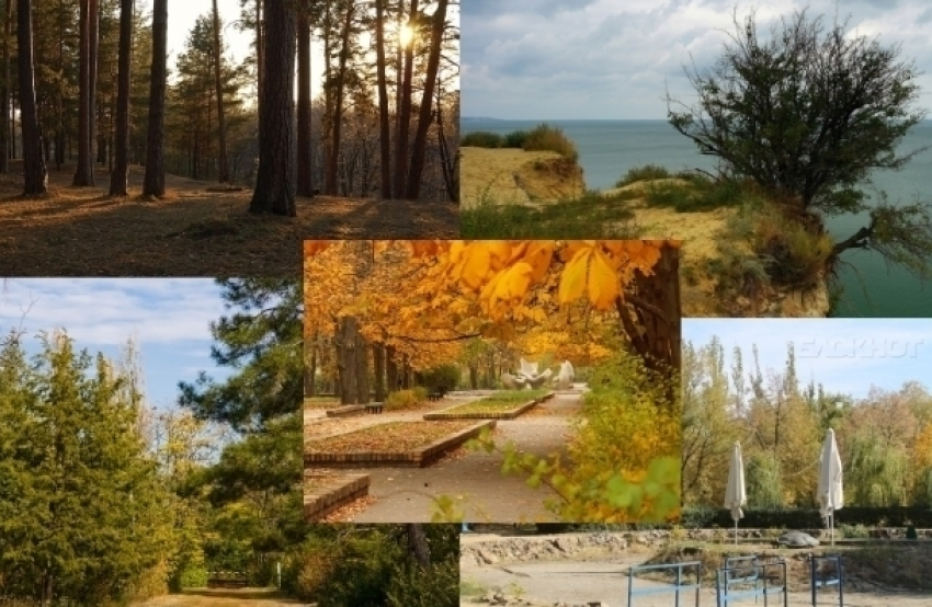 Топ-5 самых красивых мест для осенней фотосессии в Волгодонске и окрестностях