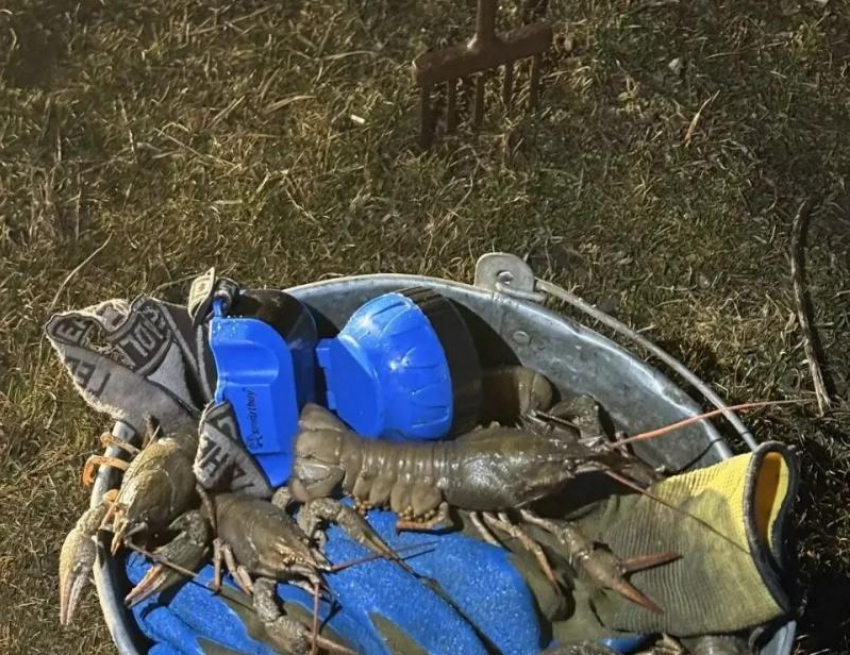 Вооруженного вилами истребителя раков задержали в Орловском районе