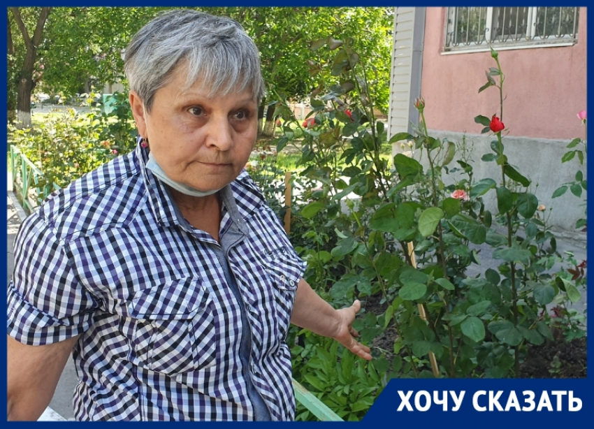 «Из-за него цветы гибнут»: война с домкомом за палисадники развернулась в Волгодонске