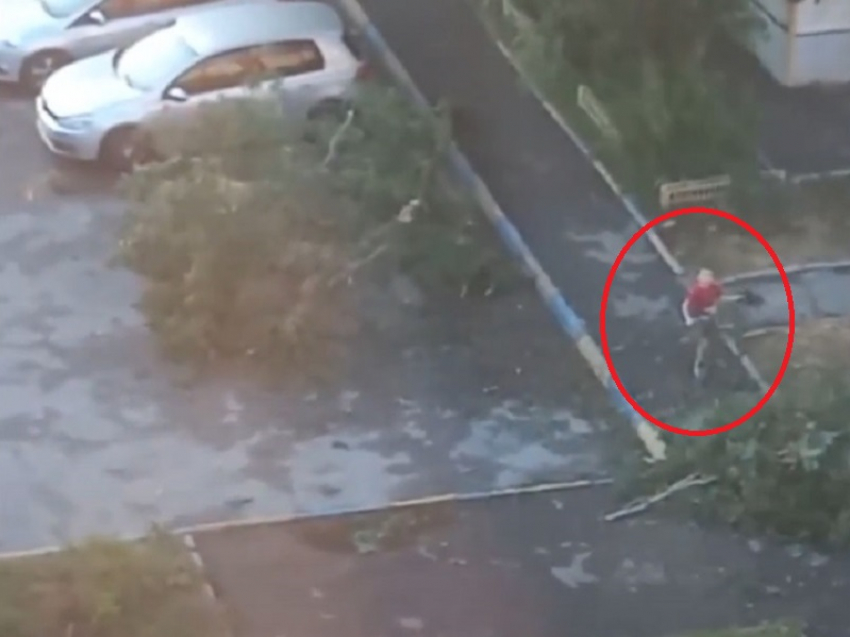 В Волгодонске маленький мальчик очистил парковку от упавших во время бури веток 