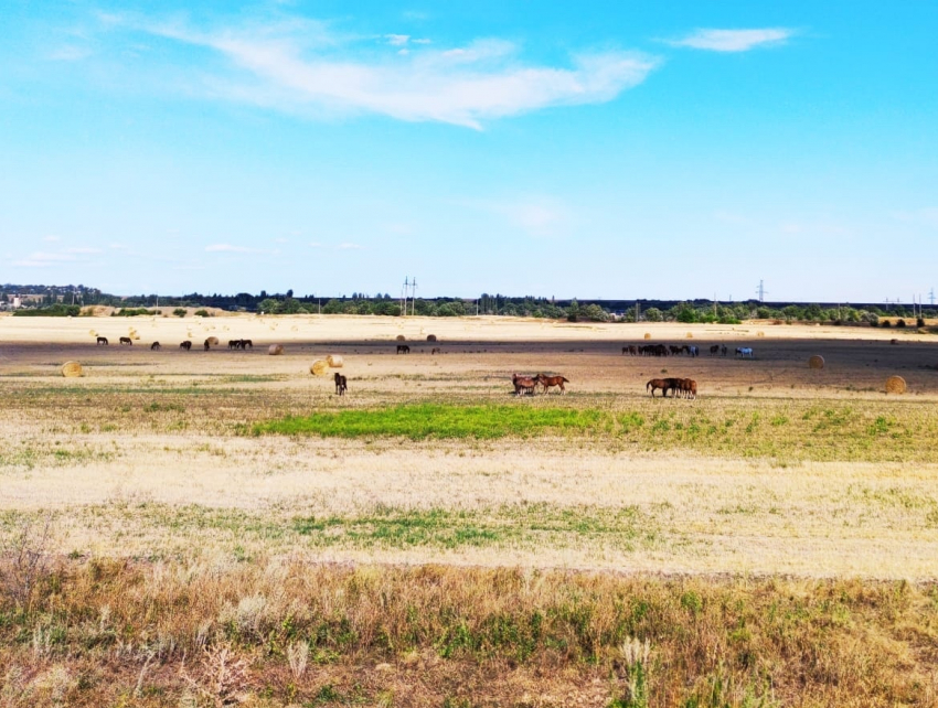 Последний день лета в Волгодонске будет жарким 