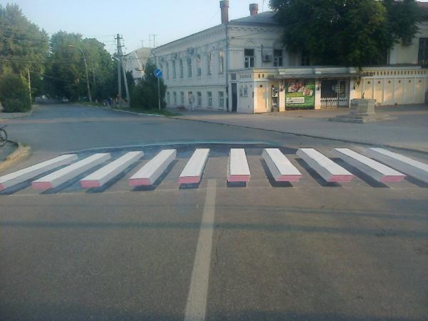 Появятся ли в Волгодонске 3D-зебры?