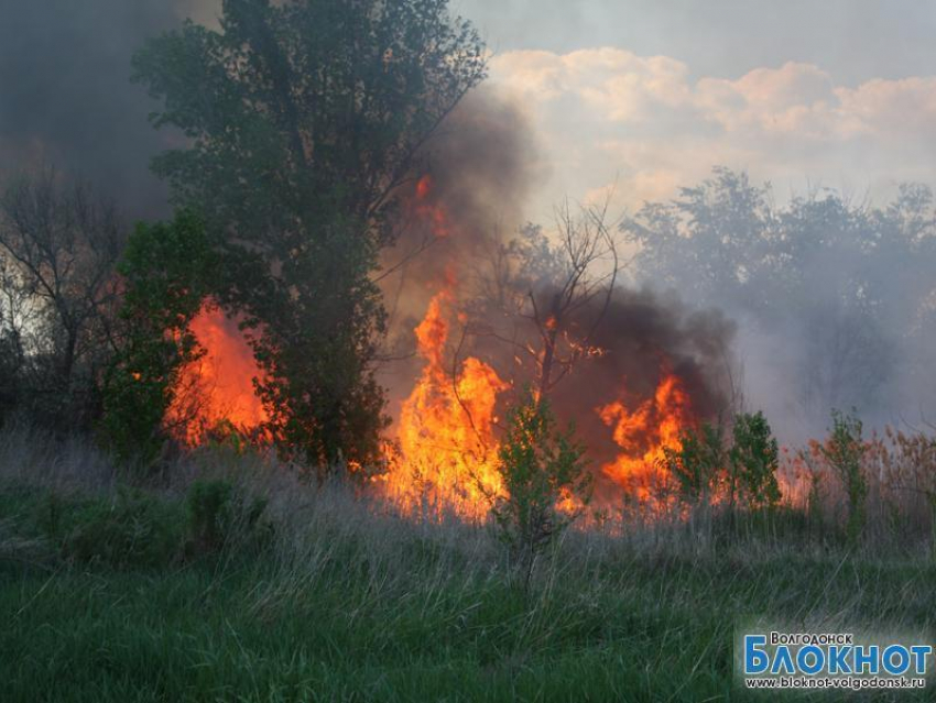 За поджигание сухой травы грозит штраф до 2000 рублей