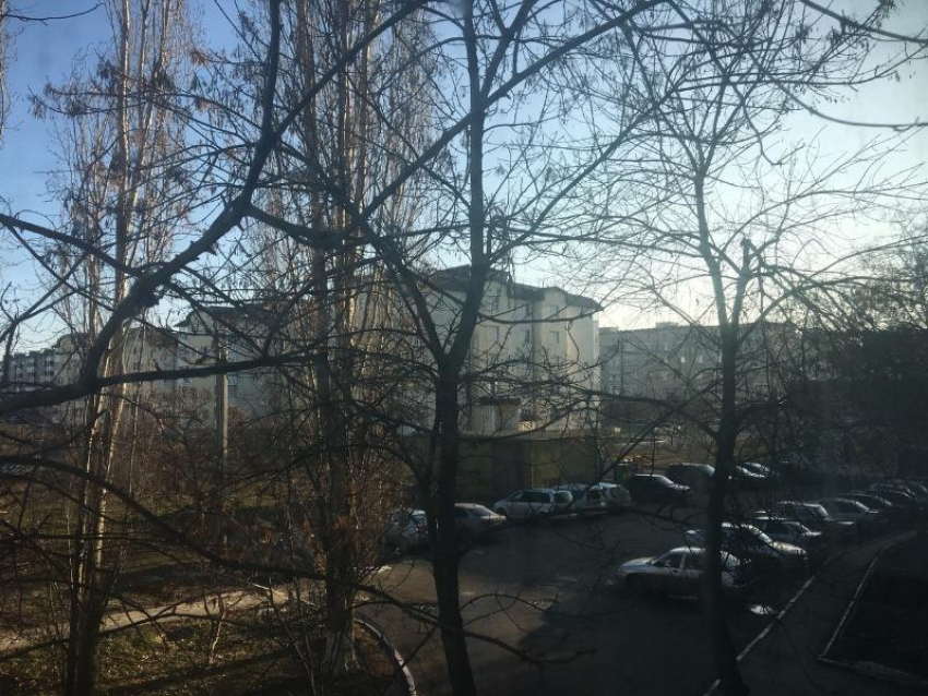 Плюсовая температура и солнце ожидаются в Волгодонске на протяжении дня