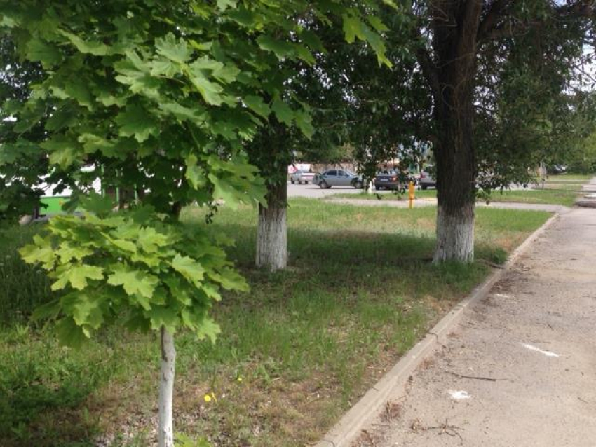 Очередное ДТП на перекрестке у «Камина» произошло в Волгодонске
