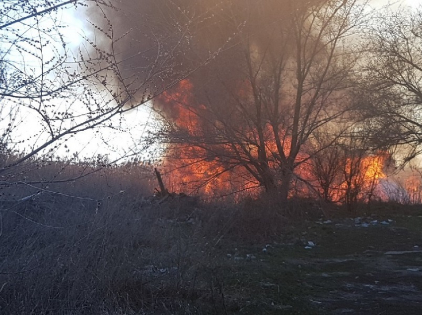 В Волгодонске специально подожгут заросли тростника на заливе