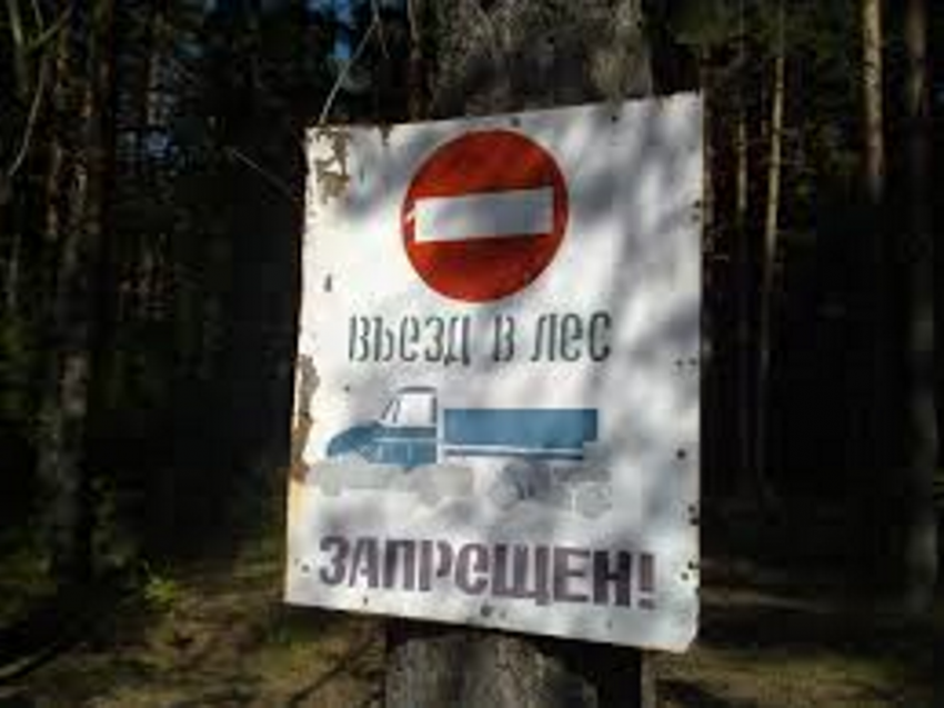 До 7 августа пребывание в лесах близ Волгодонска ограничили