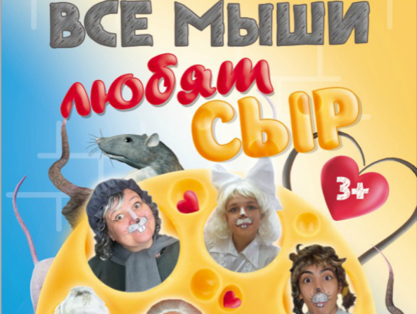 Волгодонцев приглашают на романтическую комедию «Все мыши любят сыр»