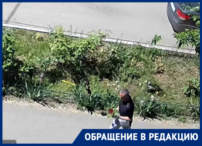 «Эпидемия вандализма»: клумбу на Ленина, 65 атакуют уже пятый раз за всё время