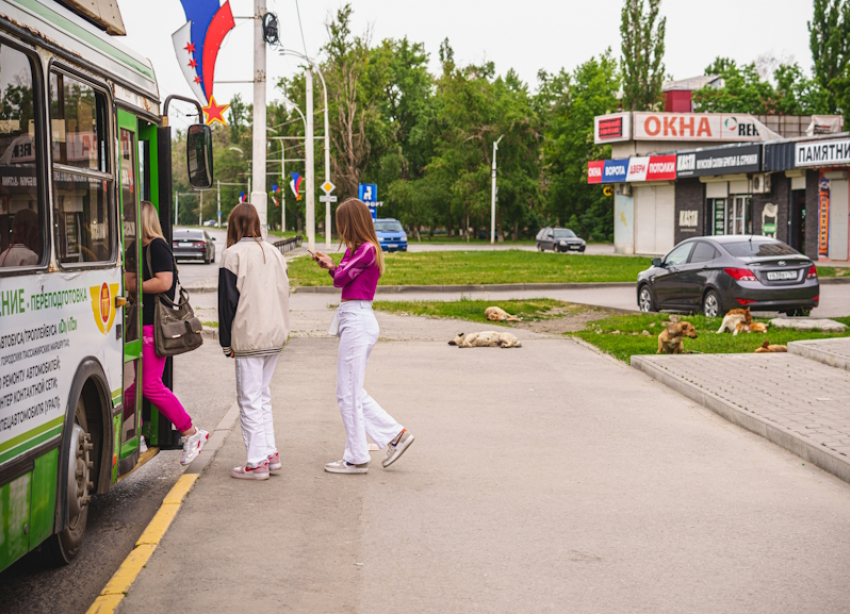 Власти с начала года насчитали у перевозчиков в Волгодонске нарушений почти на 500 000 рублей