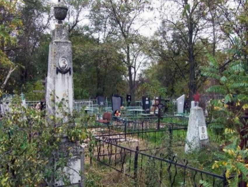 Четыре дня в Волгодонске будет идти противоклещевая обработка городских кладбищ