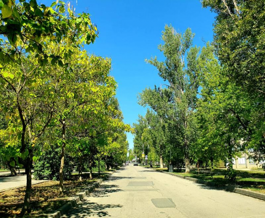 Жаркая, но ветреная погода будет в предпоследний вторник лета 