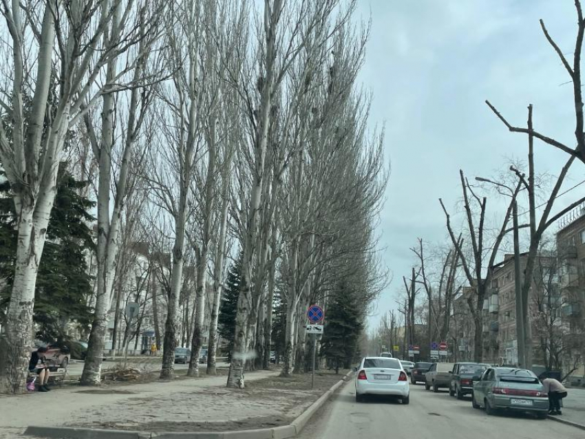 Более 100 новых лавочек установят на улице Ленина