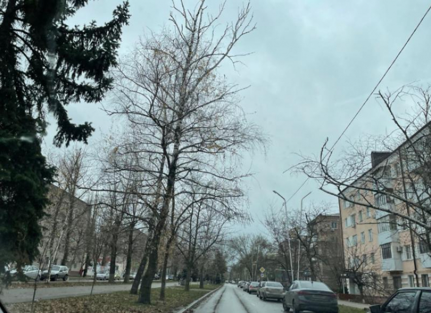 Самый теплый день с начала зимы ожидается в Волгодонске