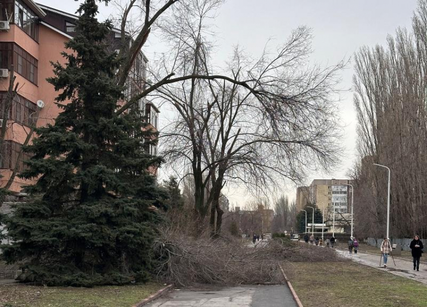 До +8 прогреется Волгодонск во вторник 