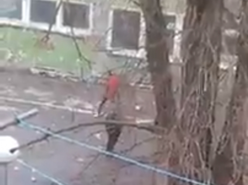 Подростки разбивают стекла в бывшем здании пенсионного фонда в Волгодонске