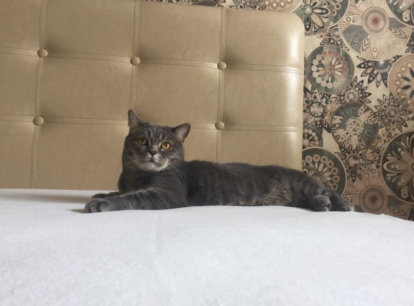 Ищешь удобную кровать? Заходи в справочник! 