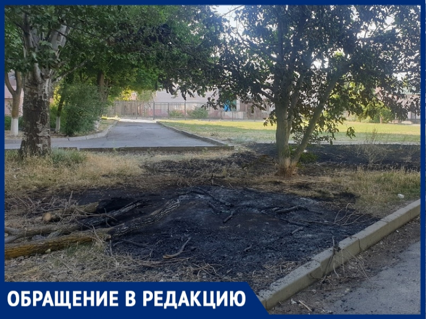 «Так весь город спалить можно»: в Волгодонске участились случаи поджога лежащих полгода куч сухих веток