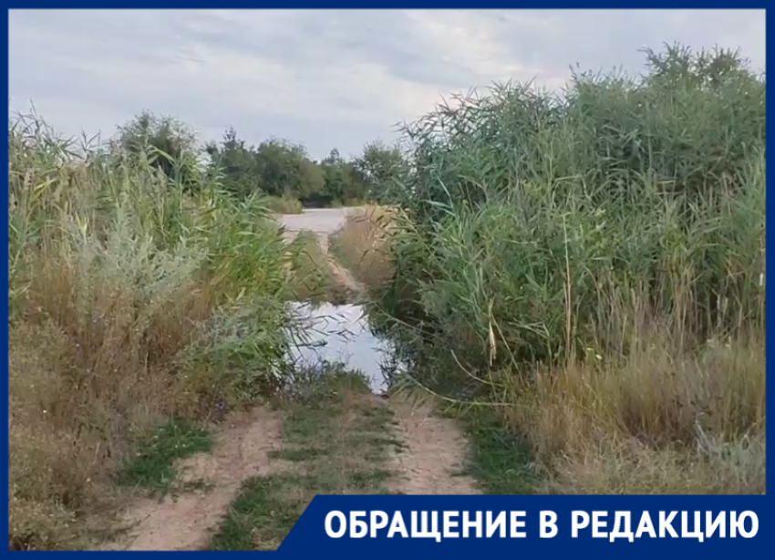 «В залив текут сточные воды»: волгодонцы бьют тревогу из-за загрязнения старого пляжа В-9