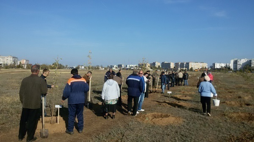 В Волгодонске за два дня посадили две тысячи деревьев и кустарников